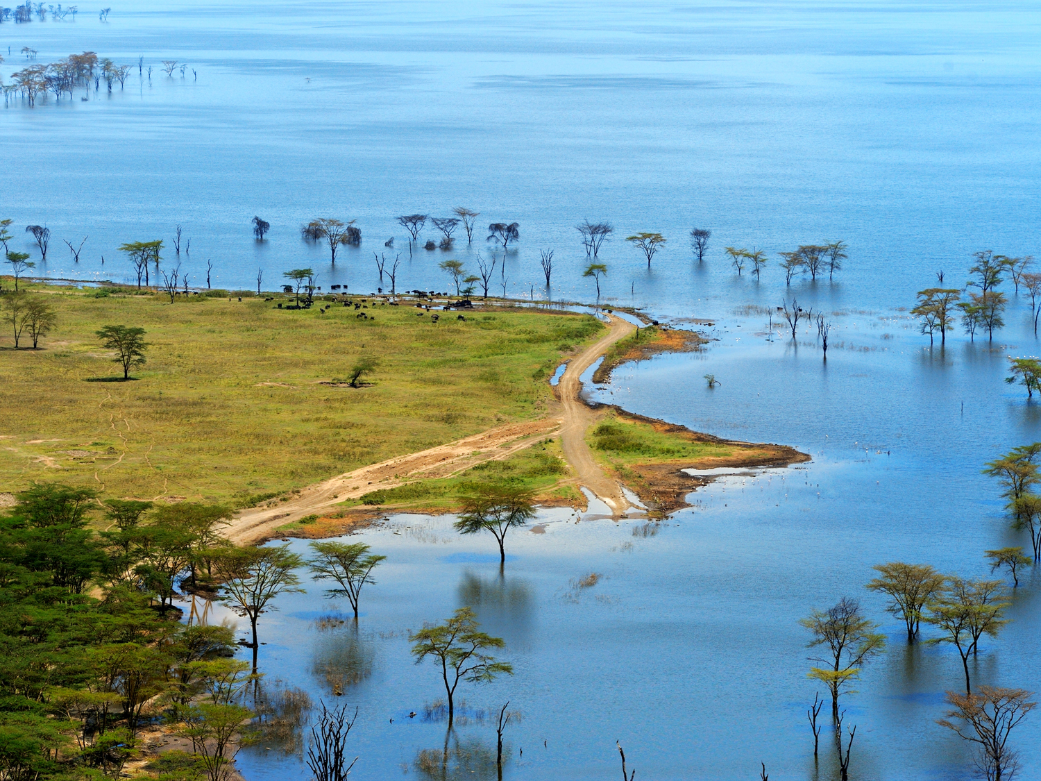 Lake Nakuru